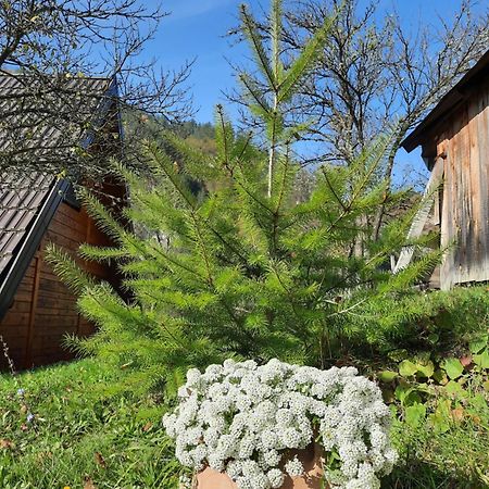 Vikendica Neven Villa Zaovine Екстериор снимка