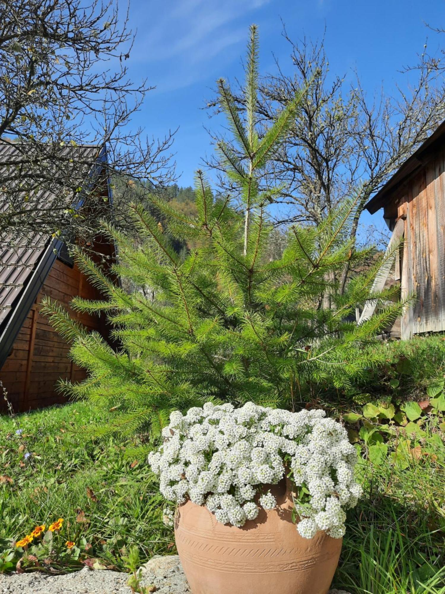 Vikendica Neven Villa Zaovine Екстериор снимка